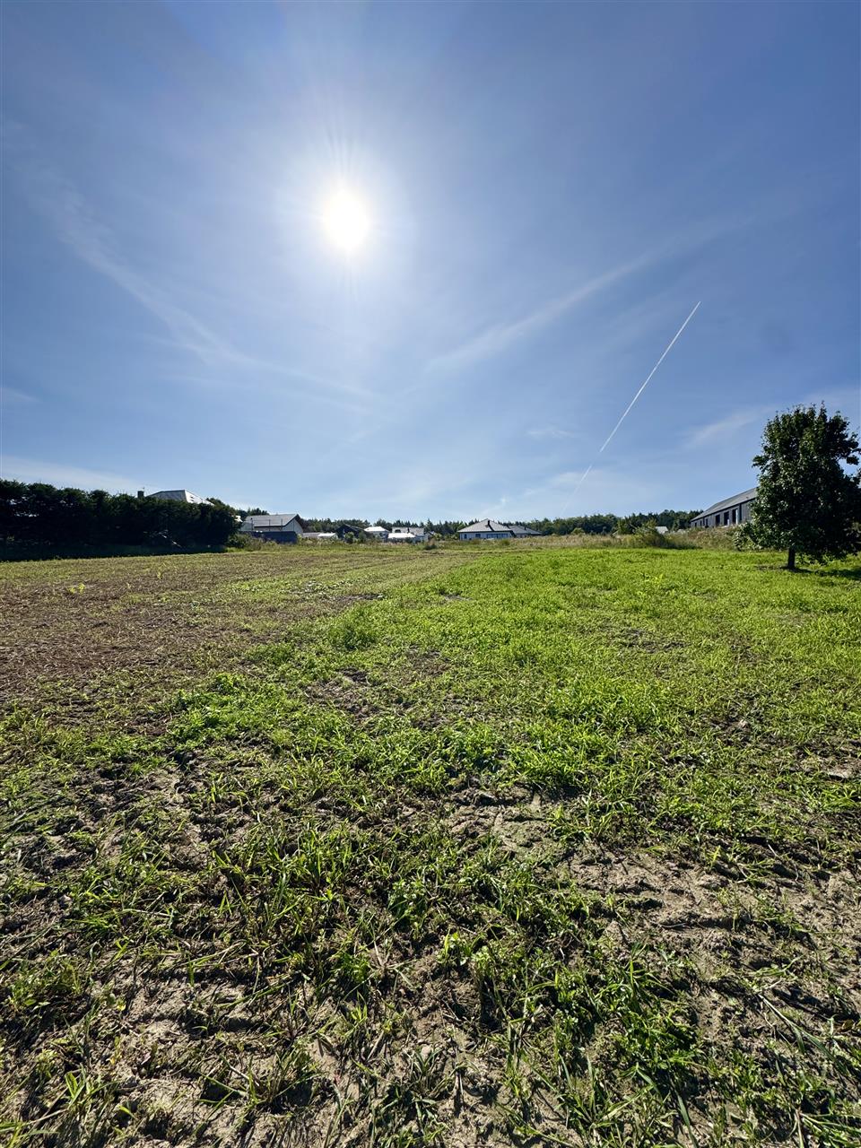 Działka - Skwierzynka Skwierzynka (7)