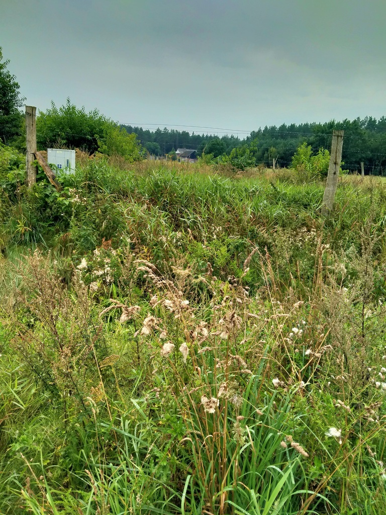 Działka 5000m2,Niekłończyca,gm.Police, plan,media. (3)