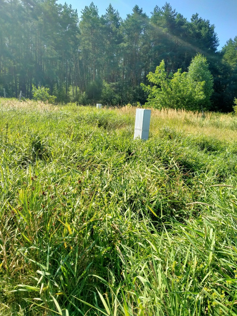 Działka Wołczkowo 1063 m2,las (6)