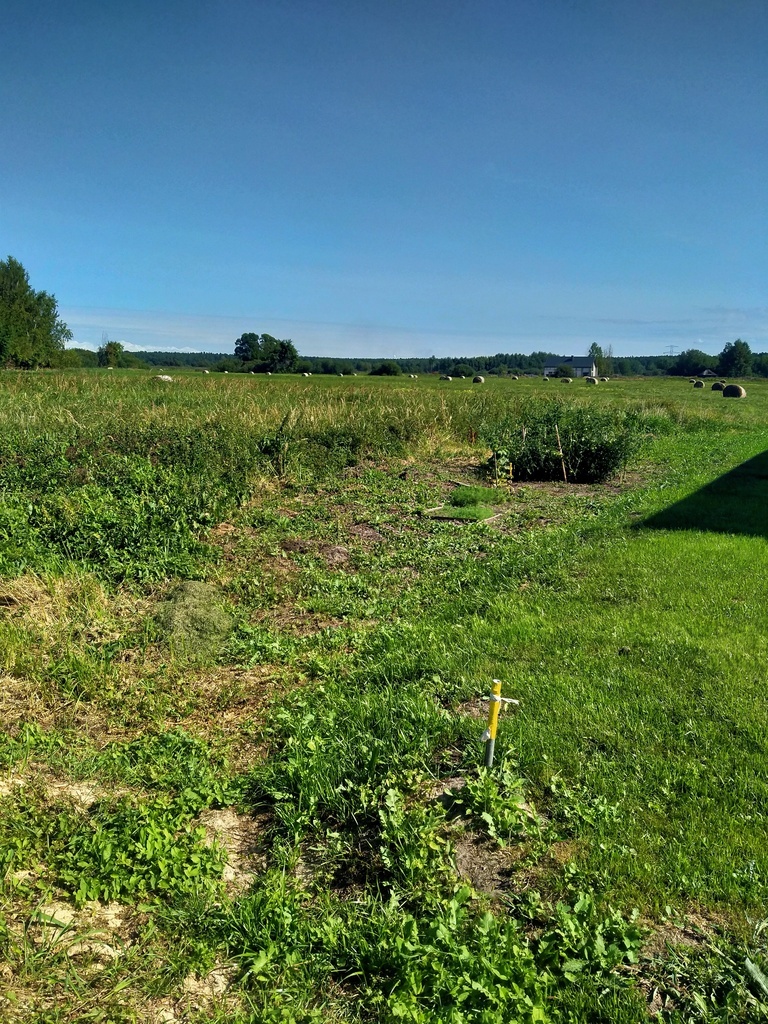 Działka Wołczkowo 1063 m2,las (4)