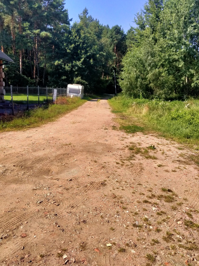 Działka Wołczkowo 1063 m2,las (7)