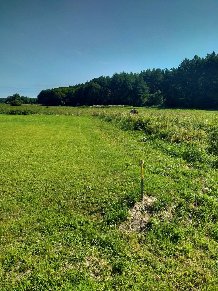 Działka Wołczkowo 1063 m2,las (7)