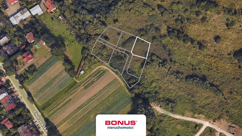 Zainwestuj w ziemię:) (3)