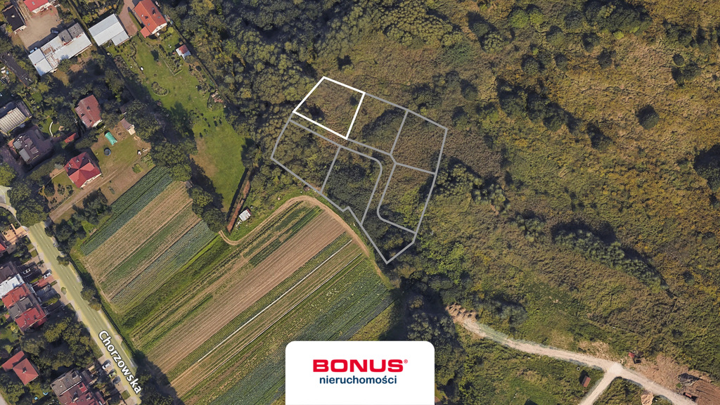 Zainwestuj w ziemię:) (3)