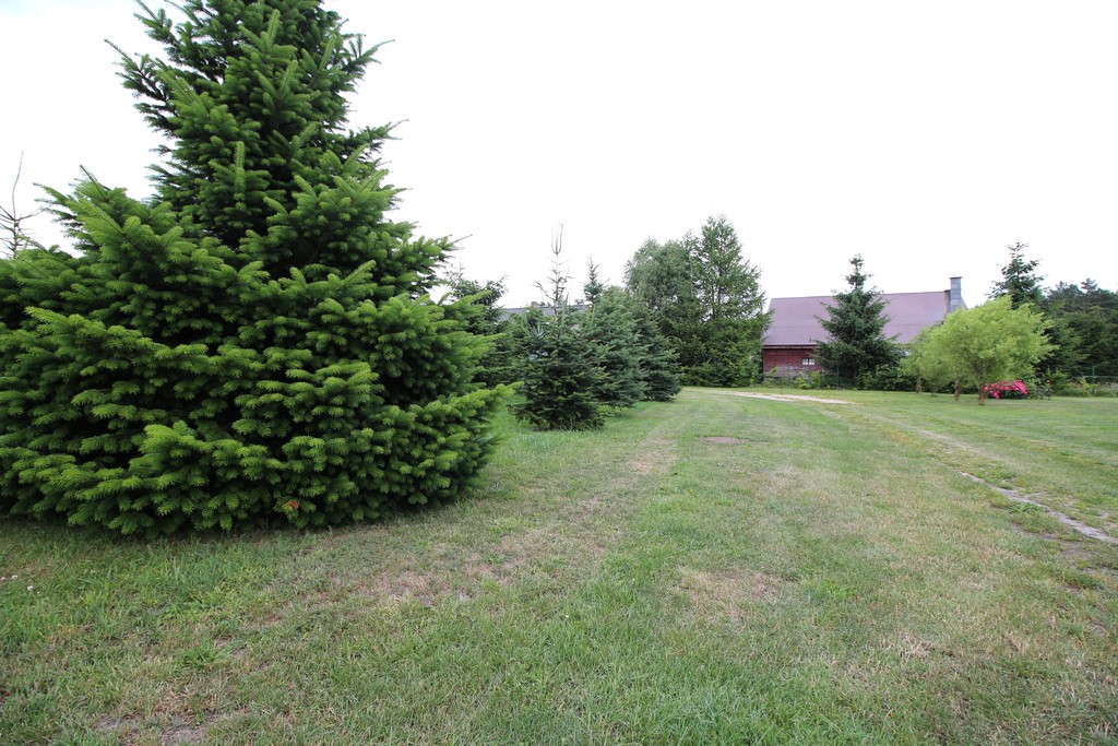 Pięknie położona działka w Brzózkach (2)