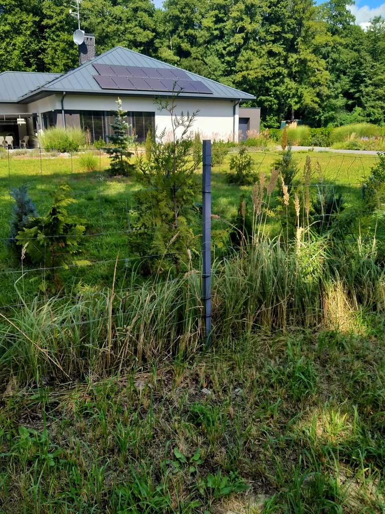 Działka 3179m2,obr.Grzepnica,gm.Dobra, las,media (12)