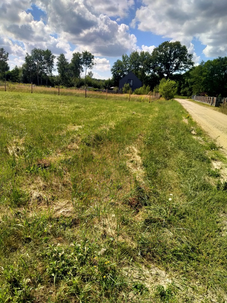 Działka 3179m2,obr.Grzepnica,gm.Dobra, las,media (4)