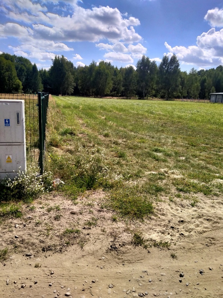 Działka 3179m2,obr.Grzepnica,gm.Dobra, las,media (5)