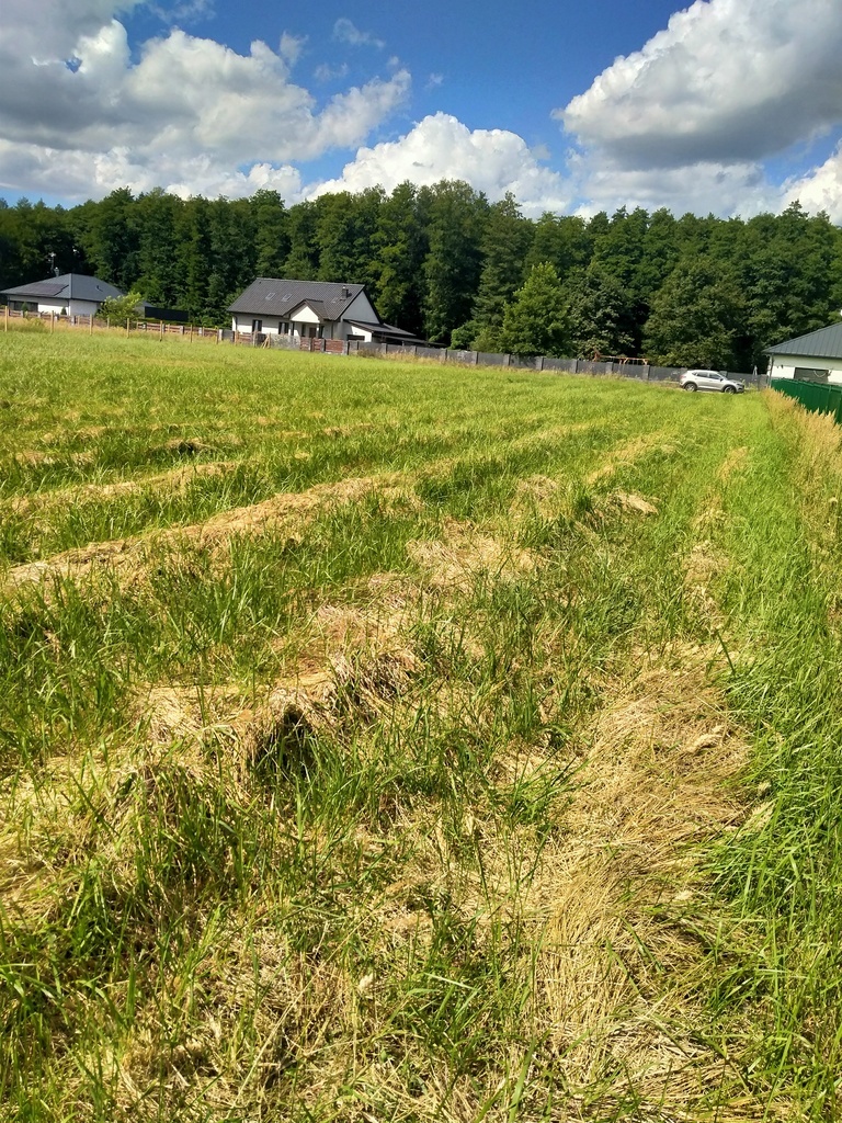 Działka 3179m2,obr.Grzepnica,gm.Dobra, las,media (3)
