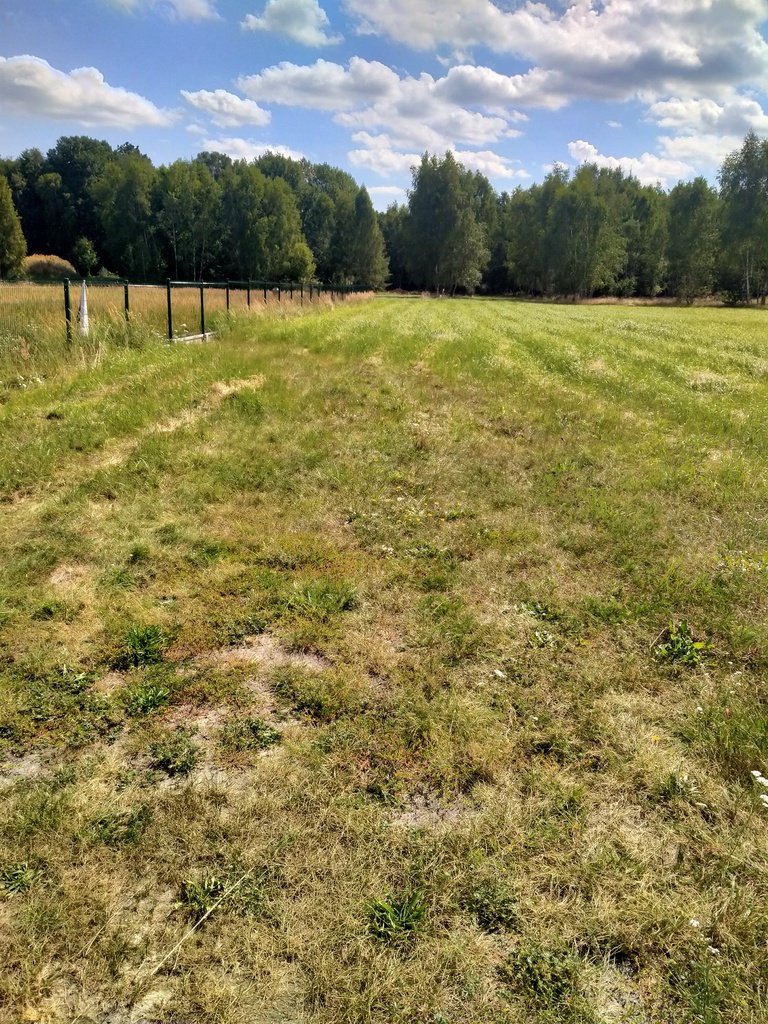 Działka 3179m2,obr.Grzepnica,gm.Dobra, las,media (9)