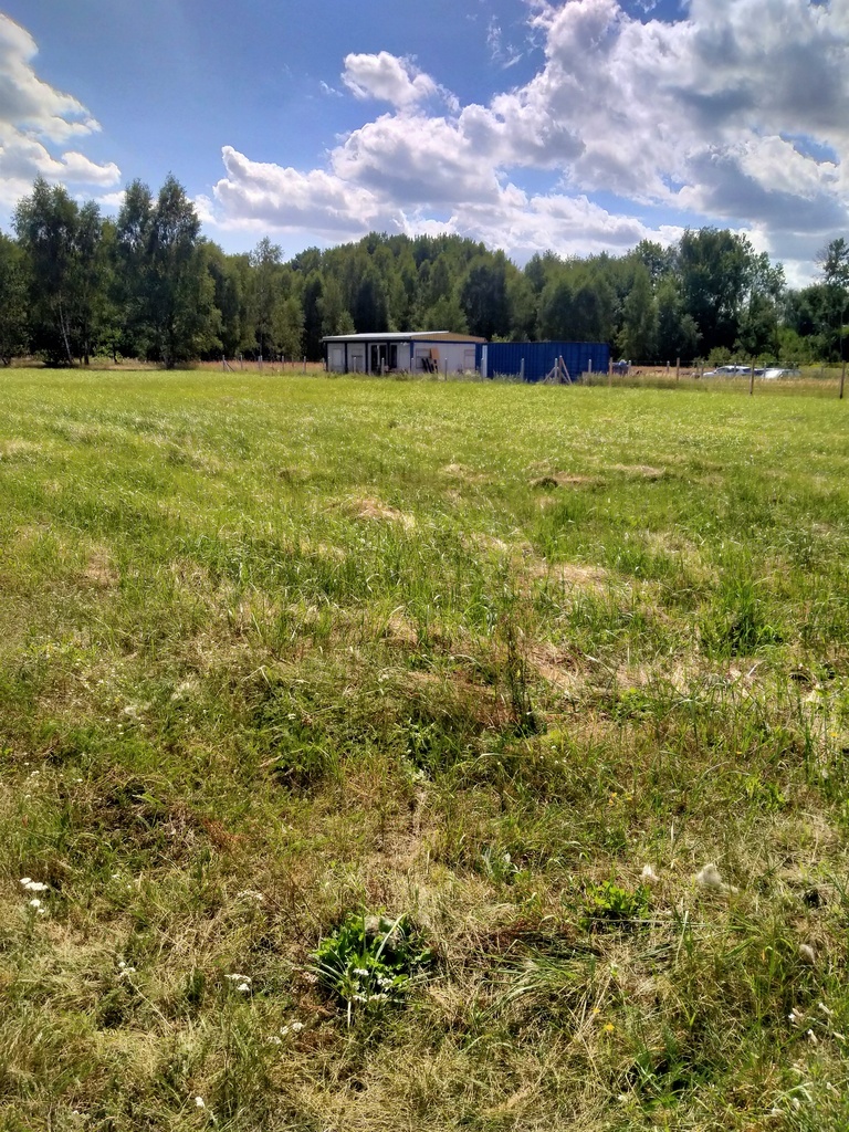 Działka 3179m2,obr.Grzepnica,gm.Dobra, las,media (2)