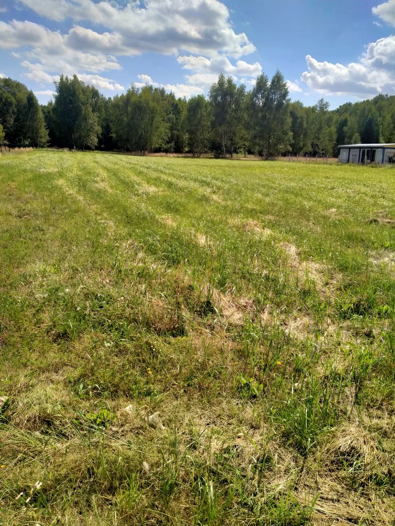 Działka 3179m2,obr.Grzepnica,gm.Dobra, las,media (11)