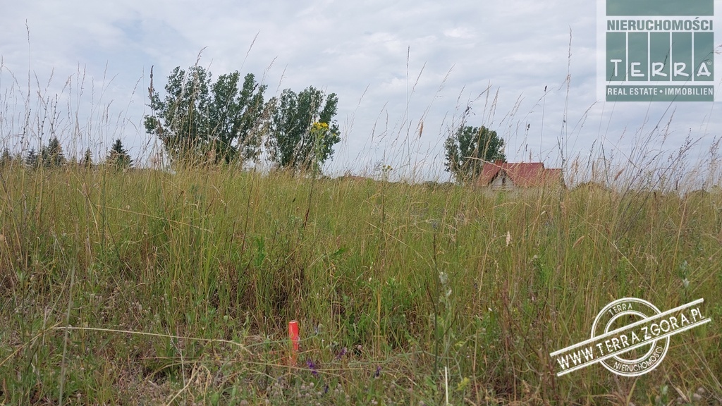 Działka budowlana w Zaborze (4)