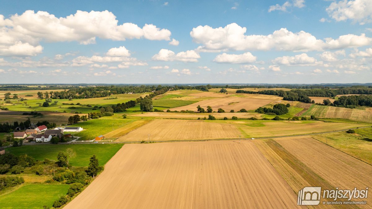 Trzebawie- grunty rolne 7,9300 ha (12)