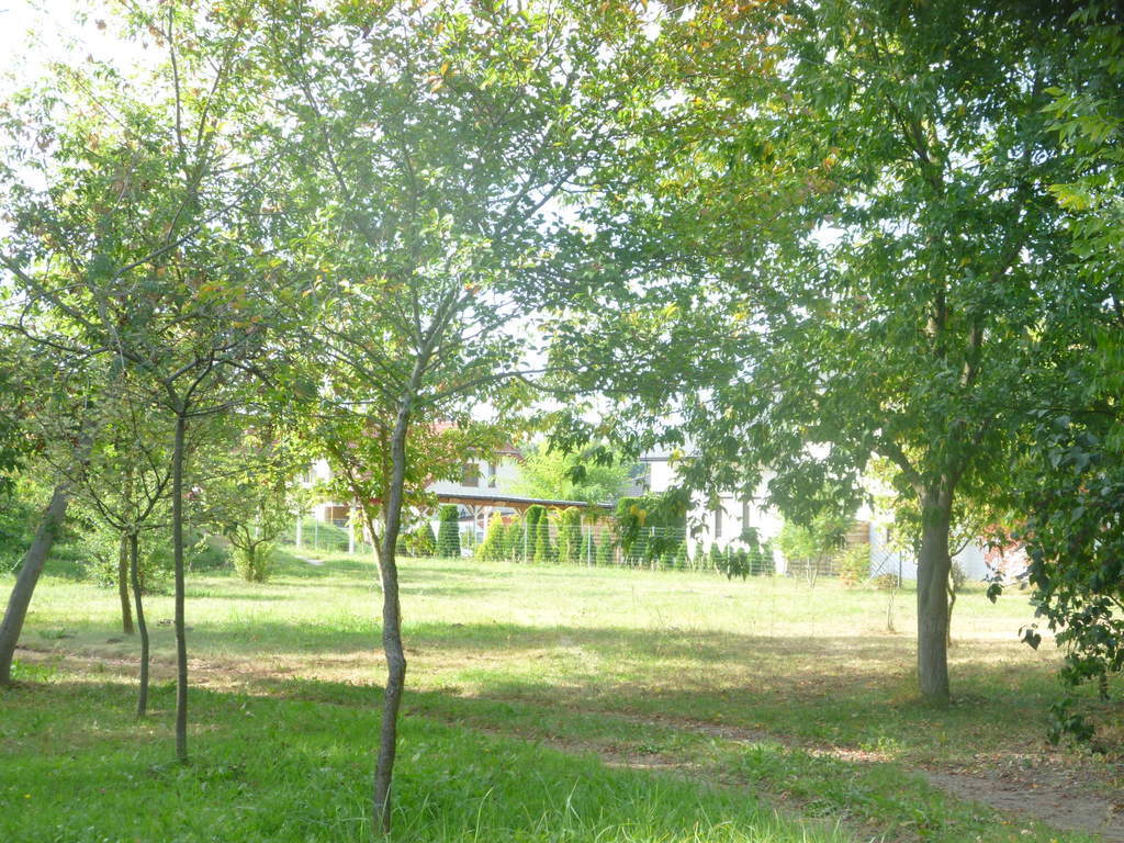 Działka 6700m2,gm.Dobra,dr.asf.las. (2)