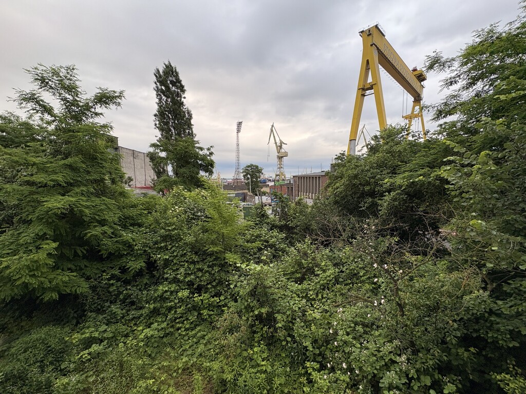 Mieszkanie trzypokojowe 96,14 mkw z ogrodem. (16)