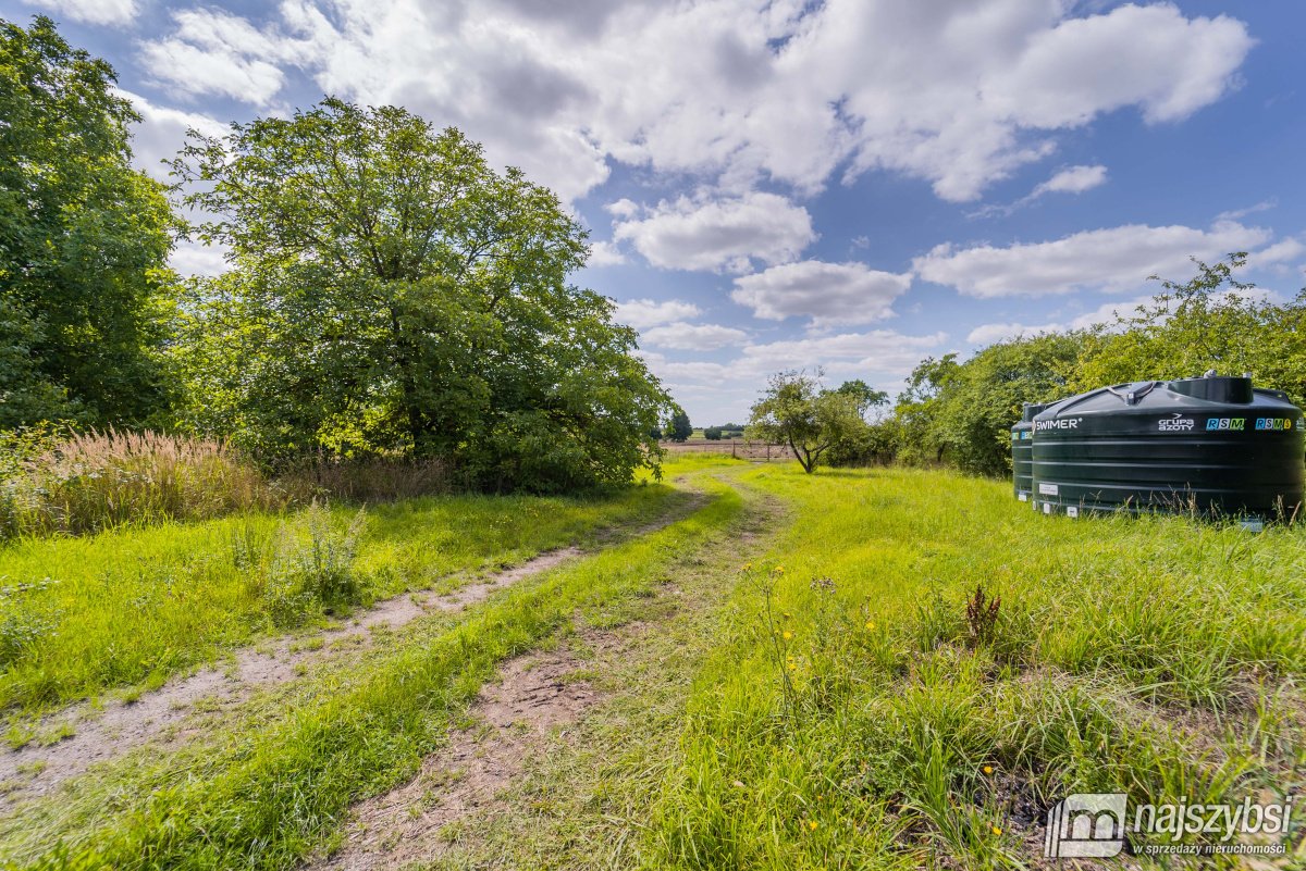 Dom z sadem na dużej działce. (31)