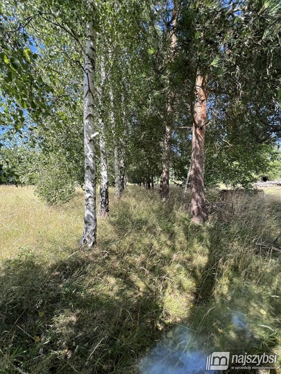 Rabiąż - duża działka, tylko 7km do morza (14)