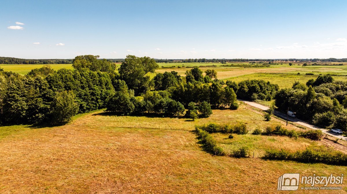 Rabiąż - duża działka, tylko 7km do morza (3)