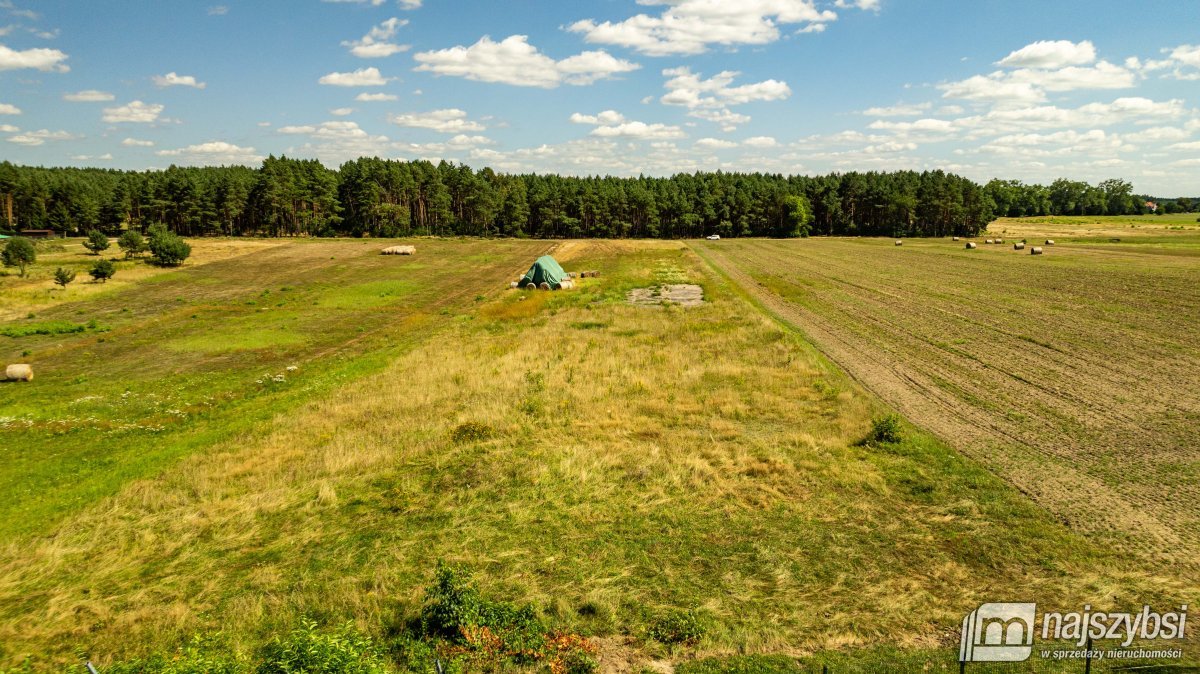 Racimierz- działka w pobliżu lasu. (10)