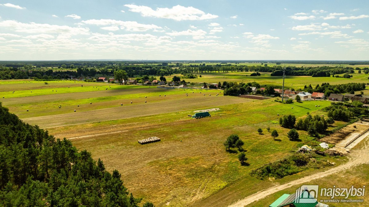 Racimierz- działka w pobliżu lasu. (14)