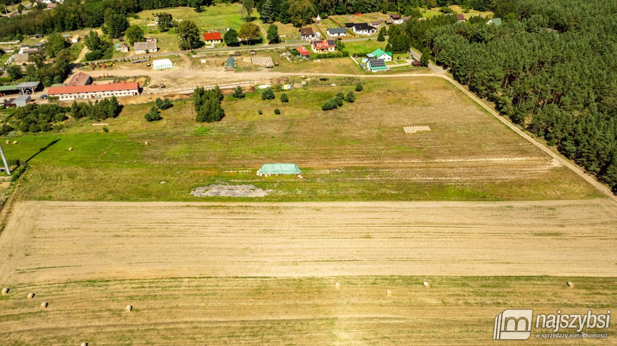 Racimierz- działka w pobliżu lasu. (17)