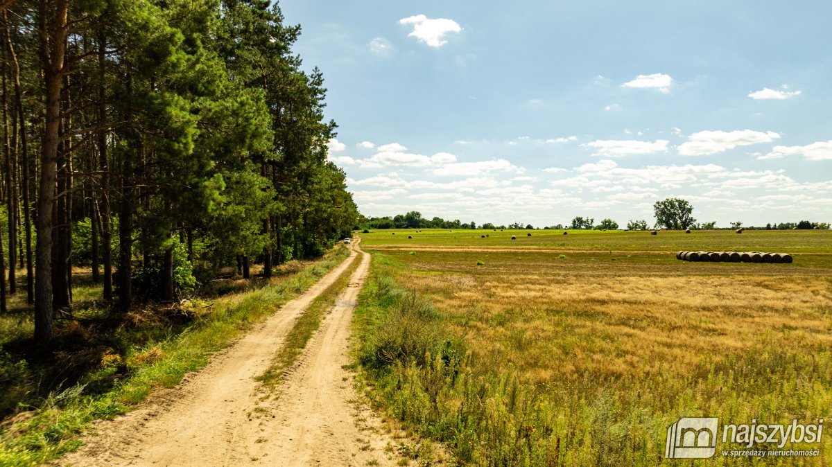 Racimierz- działka w pobliżu lasu. (19)