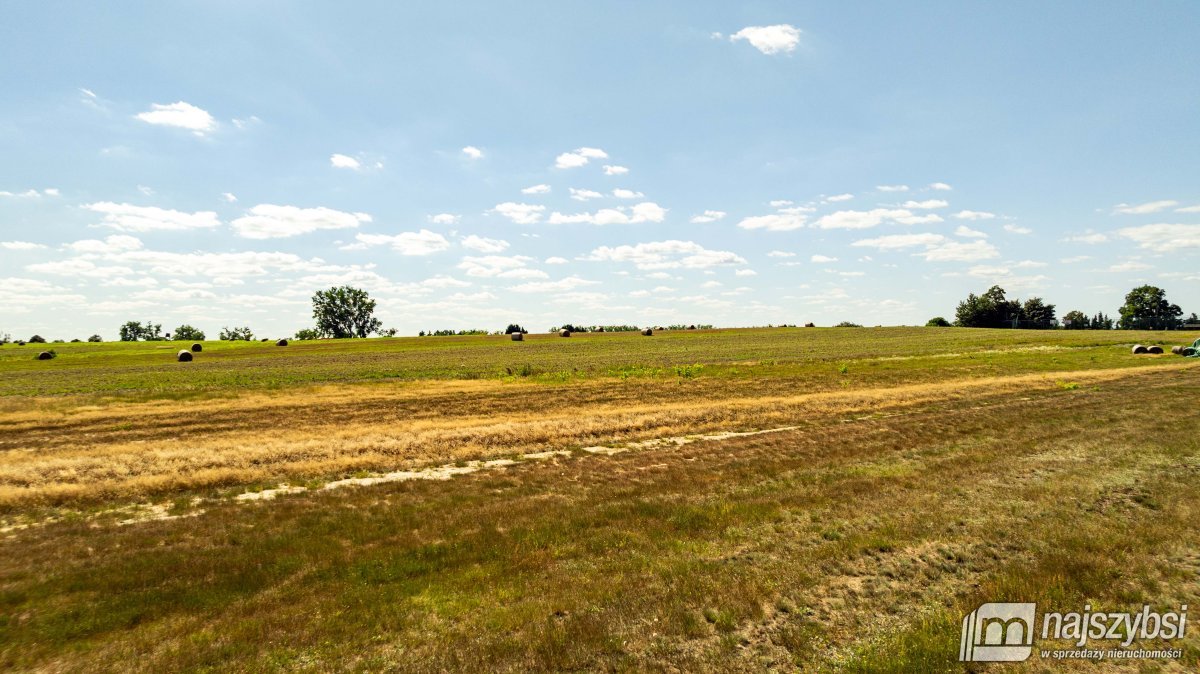 Racimierz- działka w pobliżu lasu. (20)