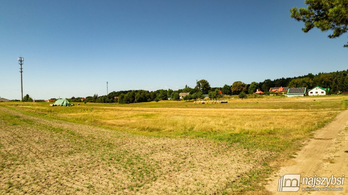Racimierz- działka w pobliżu lasu. (4)