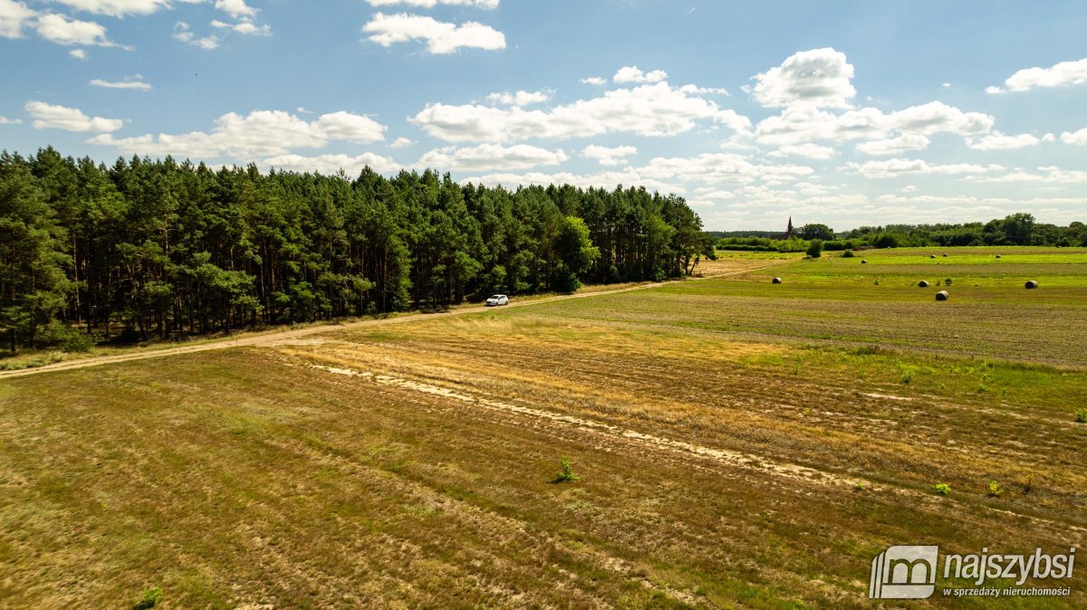 Racimierz- działka w pobliżu lasu. (6)