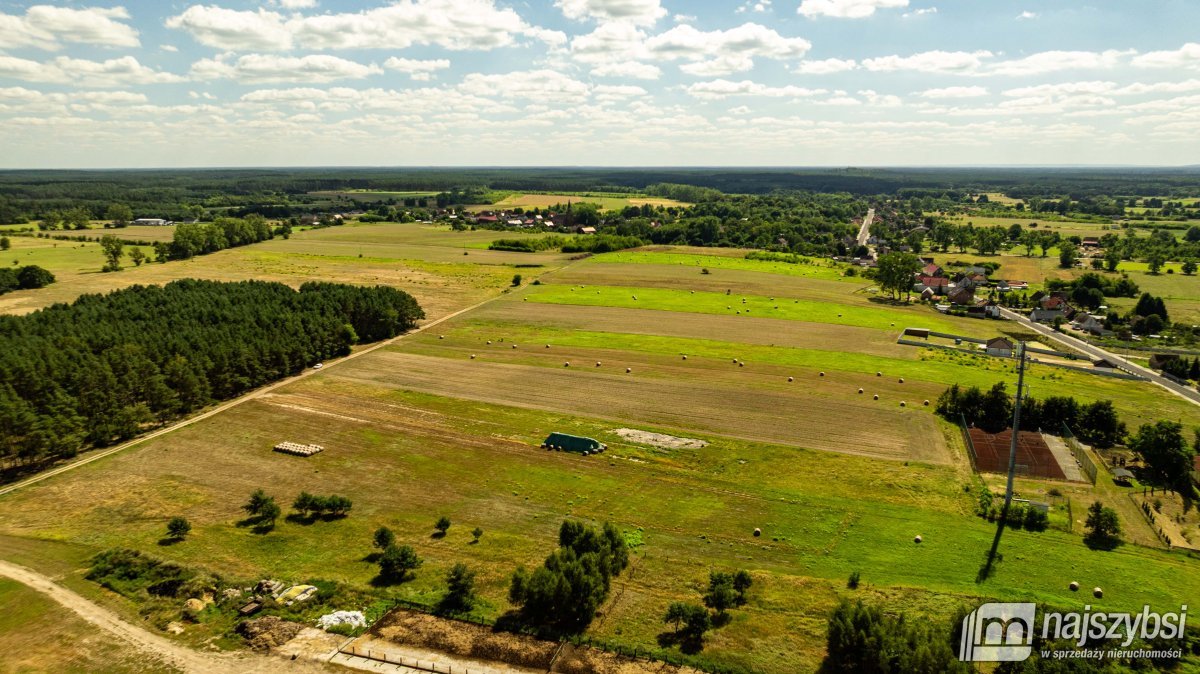 Racimierz- działka w pobliżu lasu. (7)