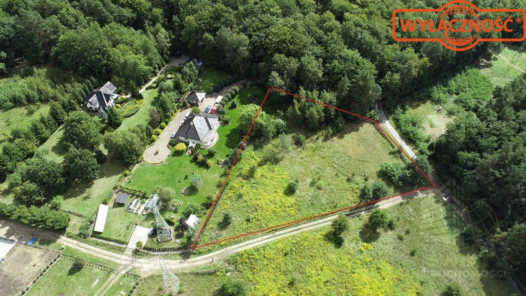 Działka 5023 m², w otulinie Puszczy Bukowej (2)