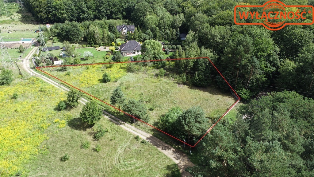 Działka 5023 m², w otulinie Puszczy Bukowej (4)