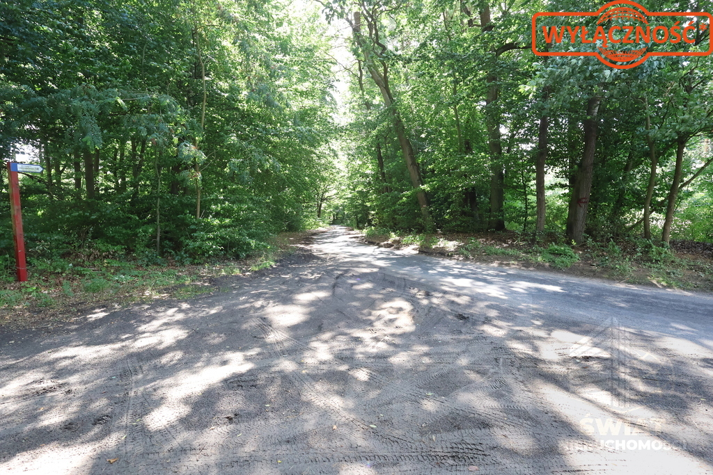 Działka 5023 m², w otulinie Puszczy Bukowej (5)