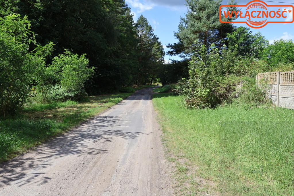 Działka 5023 m², w otulinie Puszczy Bukowej (8)