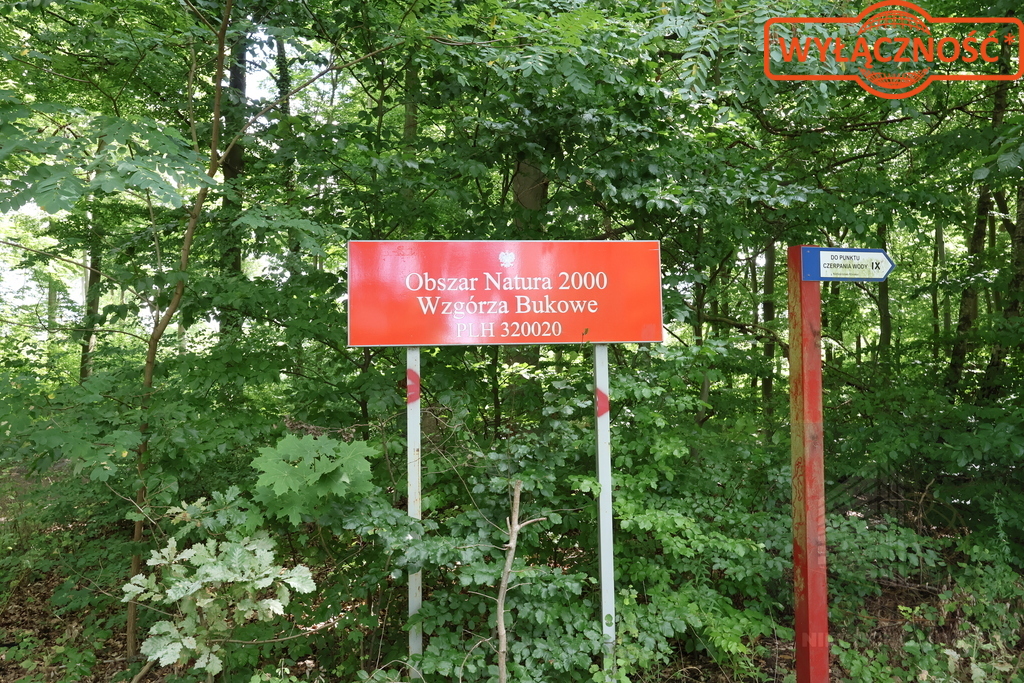 Działka 5023 m², w otulinie Puszczy Bukowej (9)