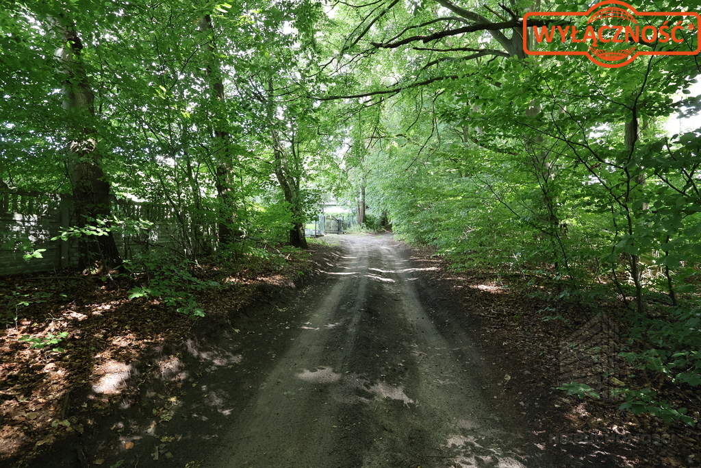 Działka 5023 m², w otulinie Puszczy Bukowej (10)