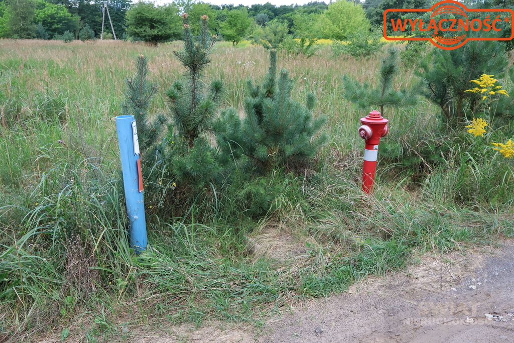 Działka 5023 m², w otulinie Puszczy Bukowej (12)