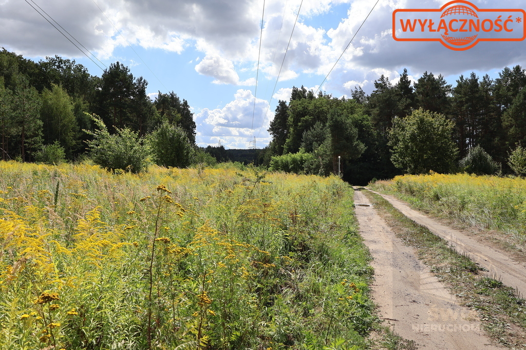 Działka 5023 m², w otulinie Puszczy Bukowej (13)