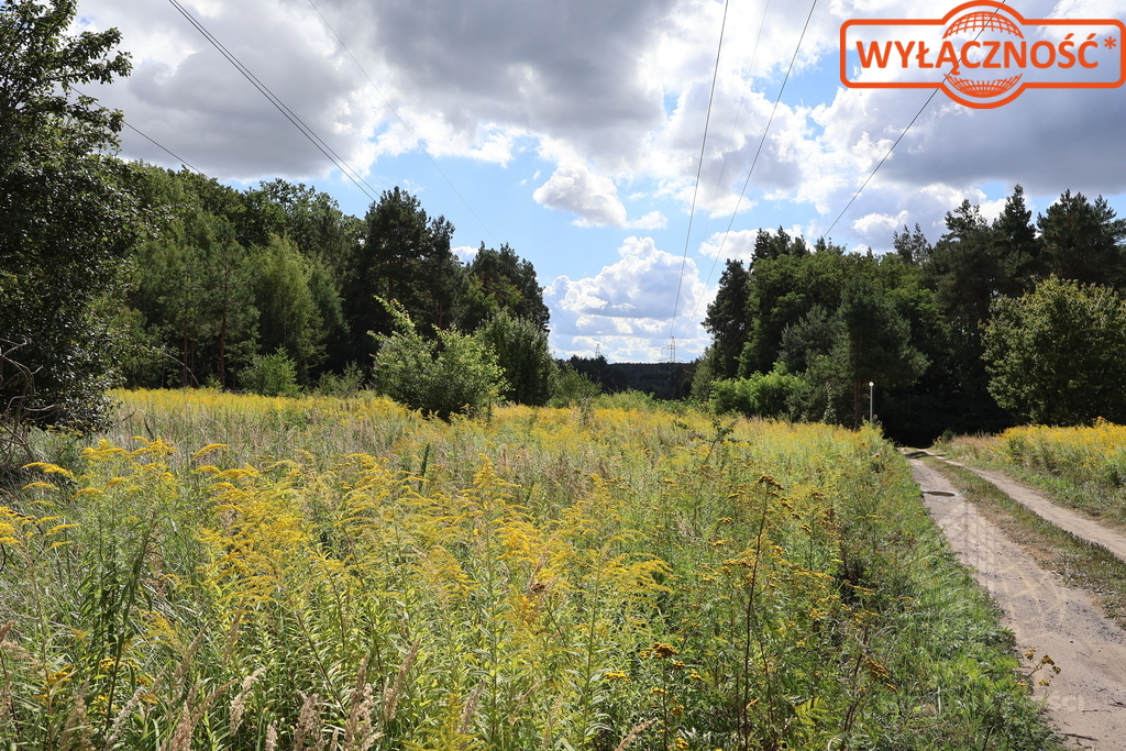 Działka 5023 m², w otulinie Puszczy Bukowej (14)