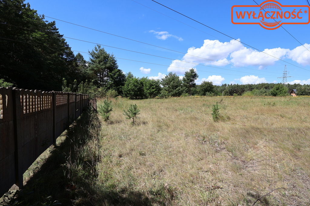 Działka 5023 m², w otulinie Puszczy Bukowej (15)