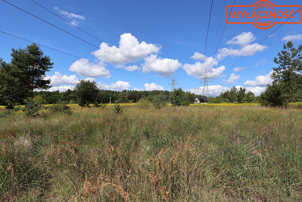 Działka 5023 m², w otulinie Puszczy Bukowej (16)