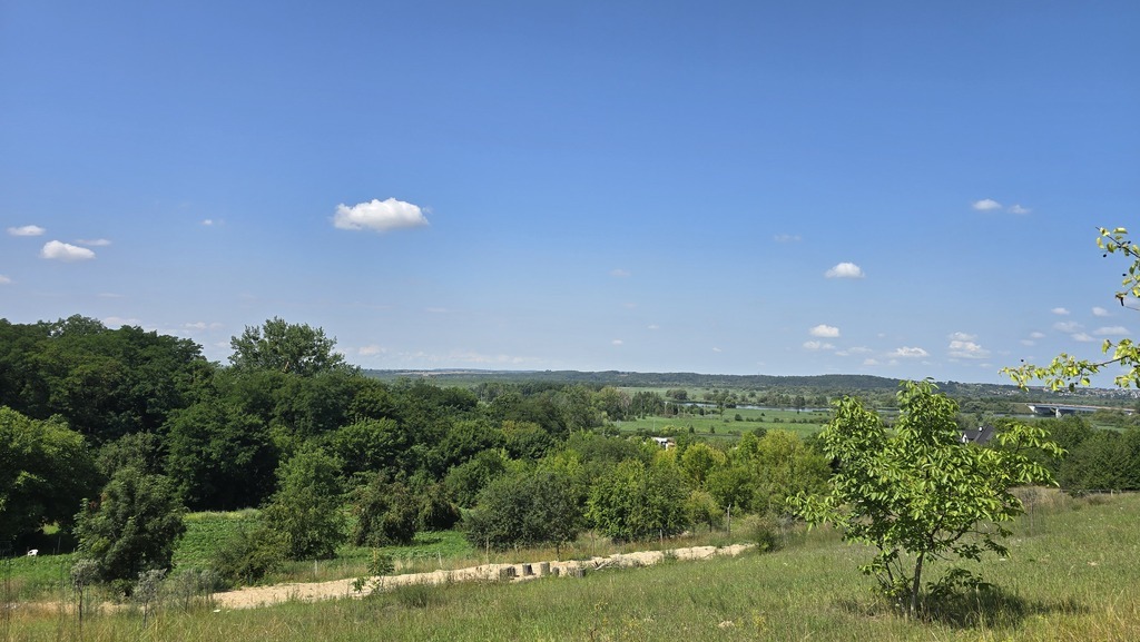 Działka dla dewelopera z pięknym widokiem na Odrę (1)