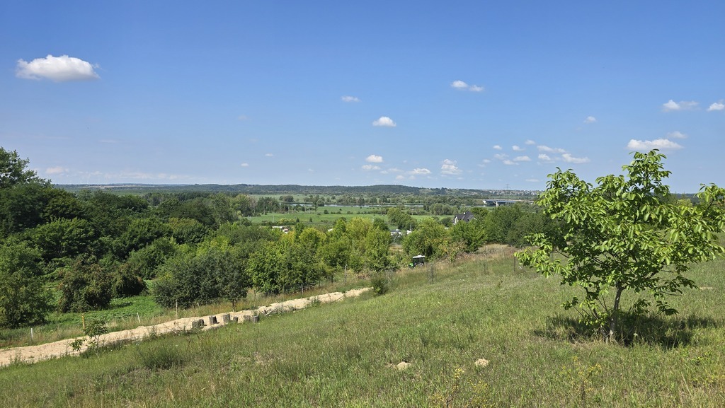 Działka dla dewelopera z pięknym widokiem na Odrę (9)