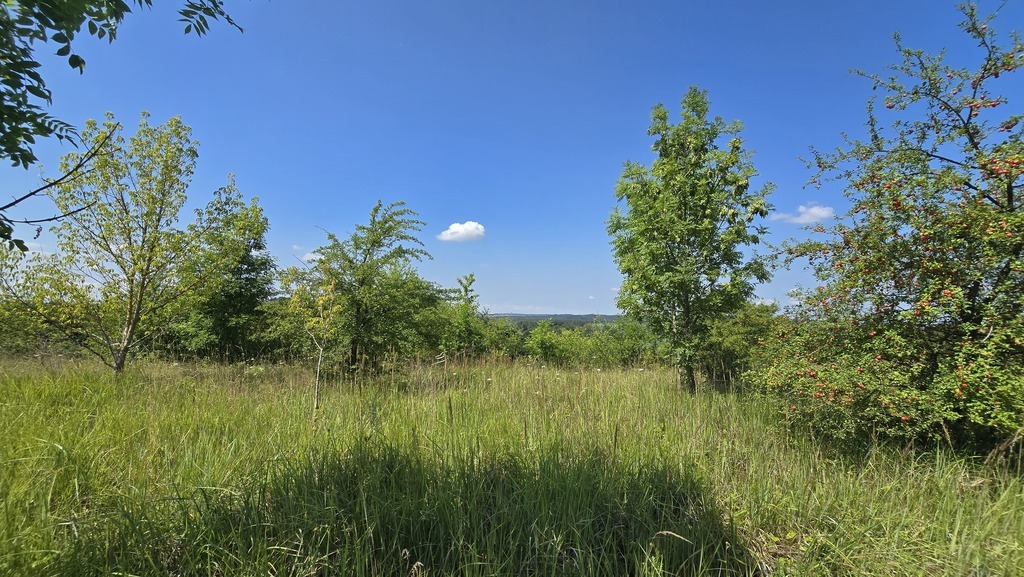 Działka dla dewelopera z pięknym widokiem na Odrę (7)