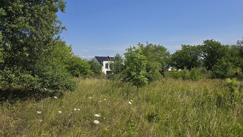 Działka dla dewelopera z pięknym widokiem na Odrę (6)