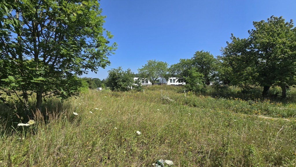 Działka dla dewelopera z pięknym widokiem na Odrę (4)