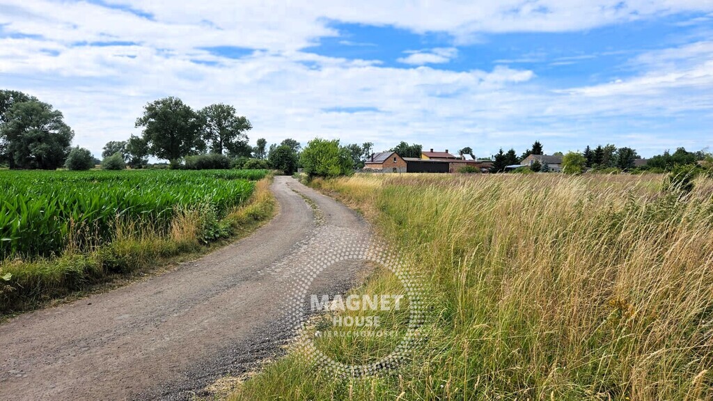 Działki z wydanymi WZ 3km od Pyrzyc (Rzepnowo) (1)