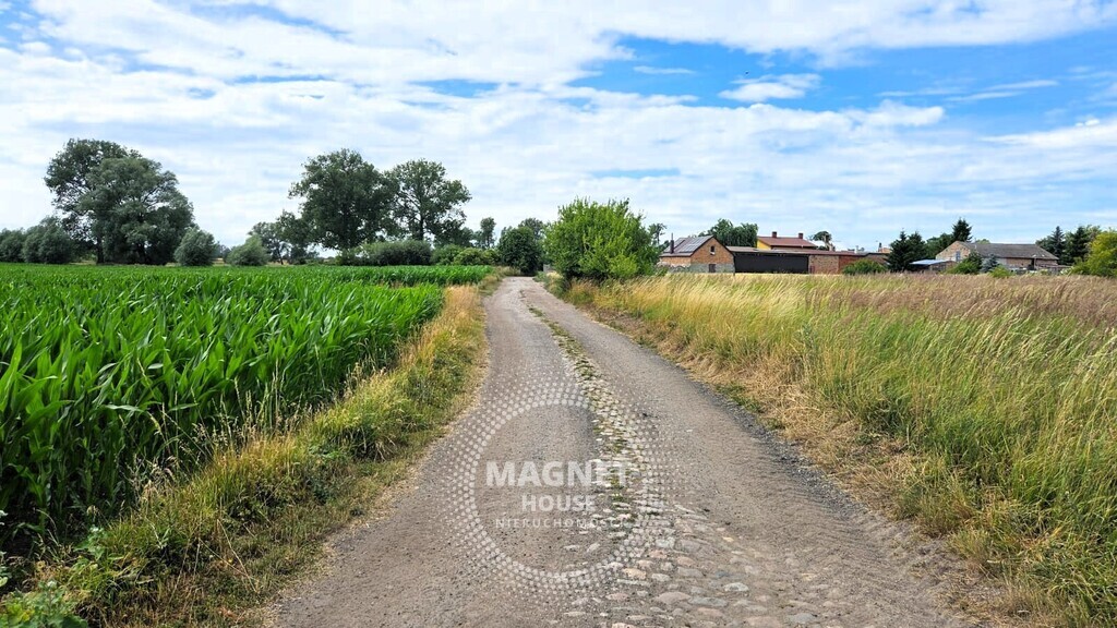 Działki z wydanymi WZ 3km od Pyrzyc (Rzepnowo) (12)