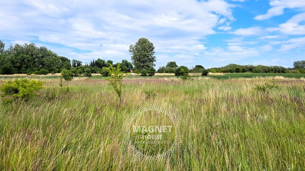 Działki z wydanymi WZ 3km od Pyrzyc (Rzepnowo) (14)